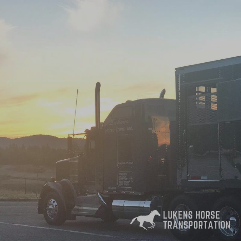 Lukens Horse Transportation Black Truck